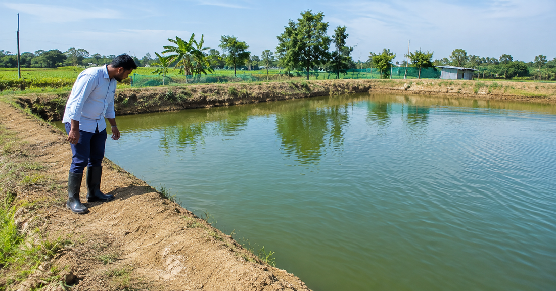 Pond Preparation for Fish Farming: Complete Step-by-Step Guide