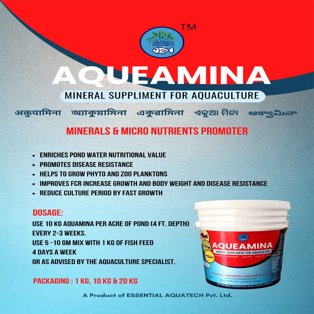 . AQUEAMINA