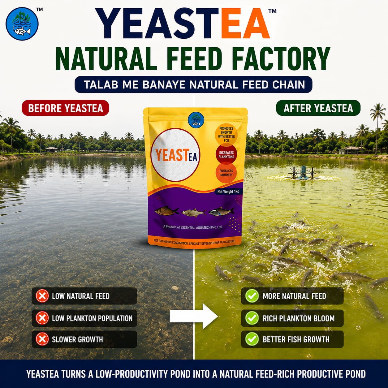 YEAST EA