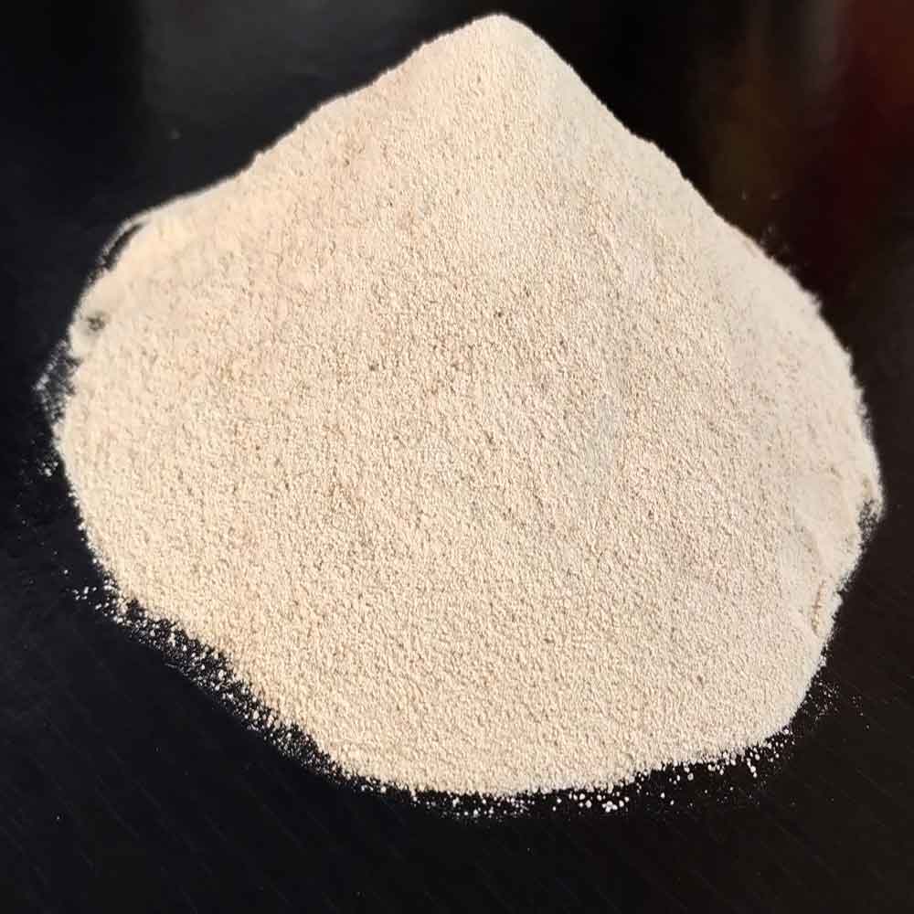 YEAST EA