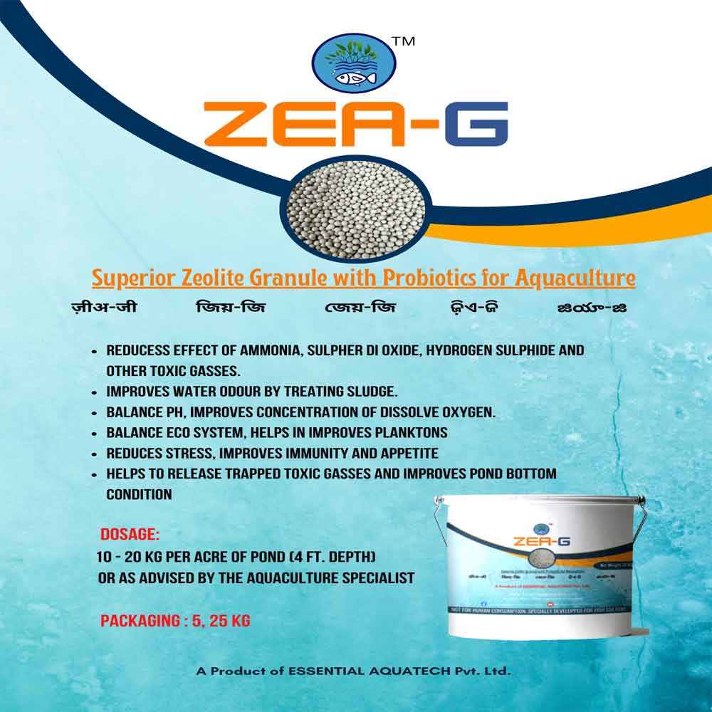 ZEA G