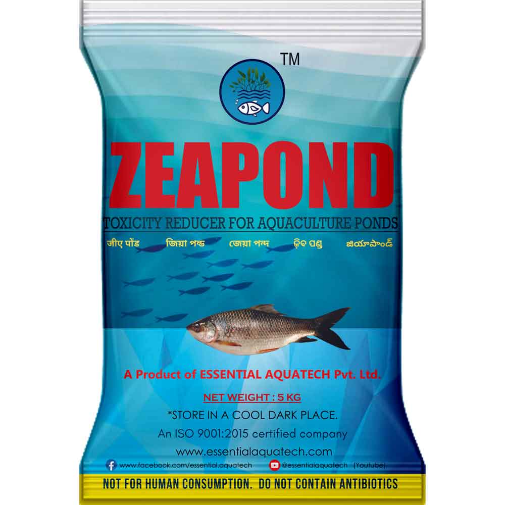 ZEA POND