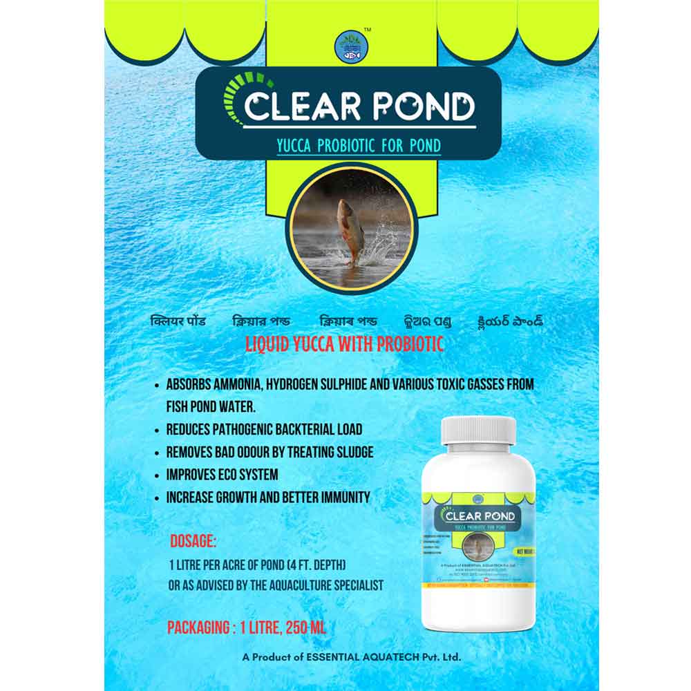 CLEAR POND