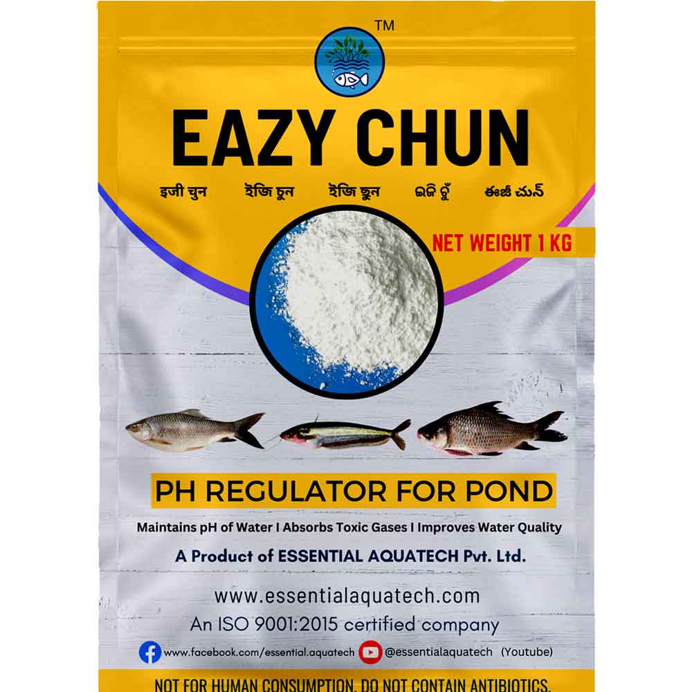 EAZY CHUN