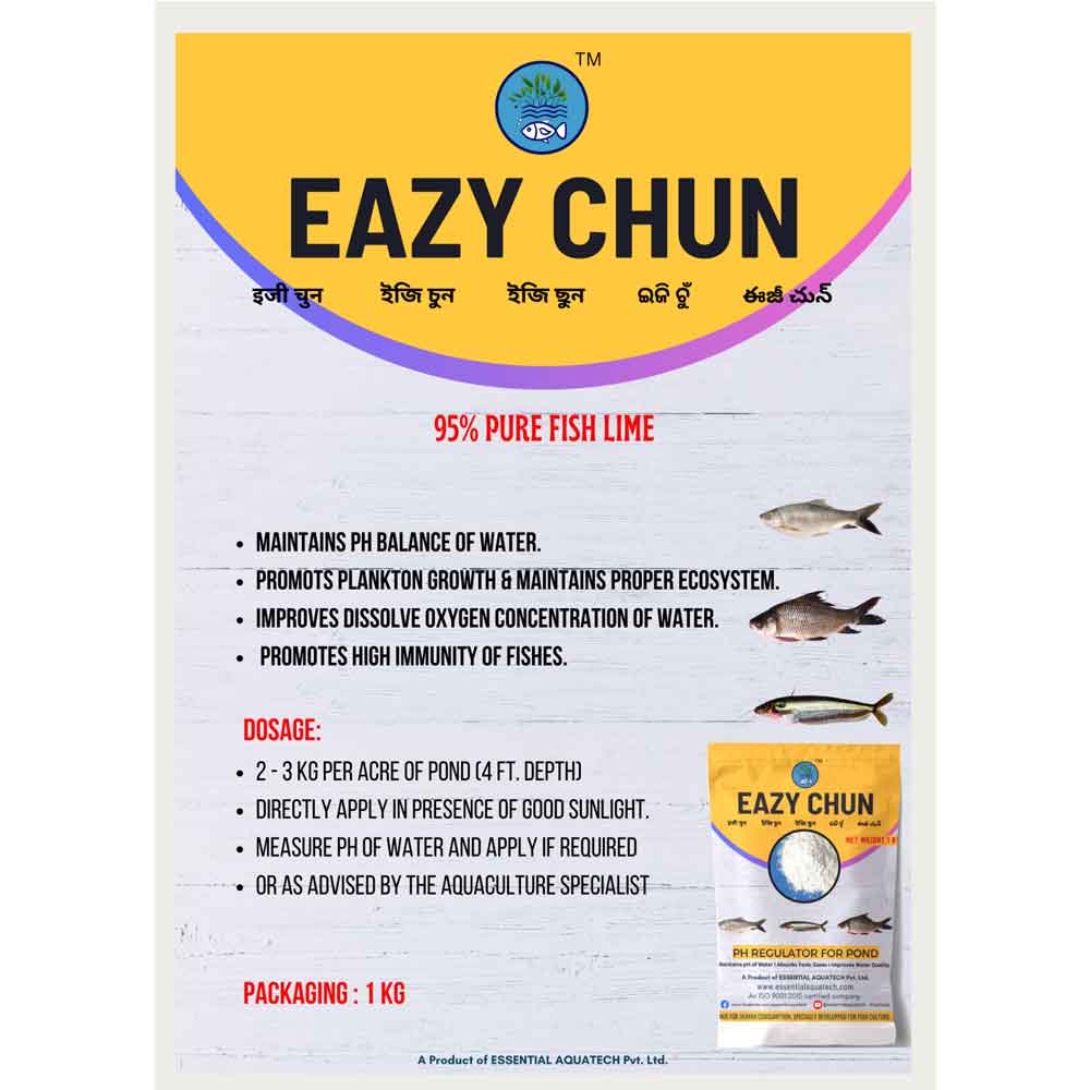EAZY CHUN