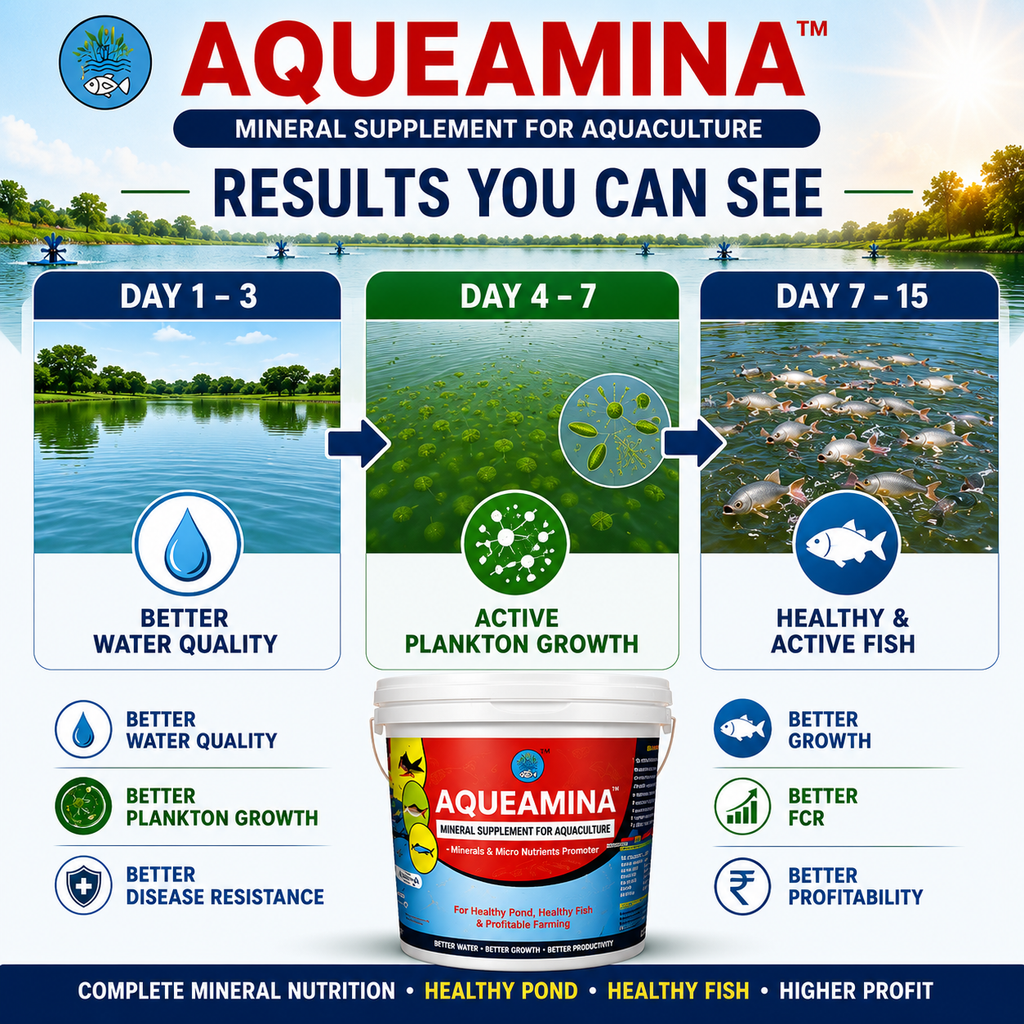 AQUEAMINA