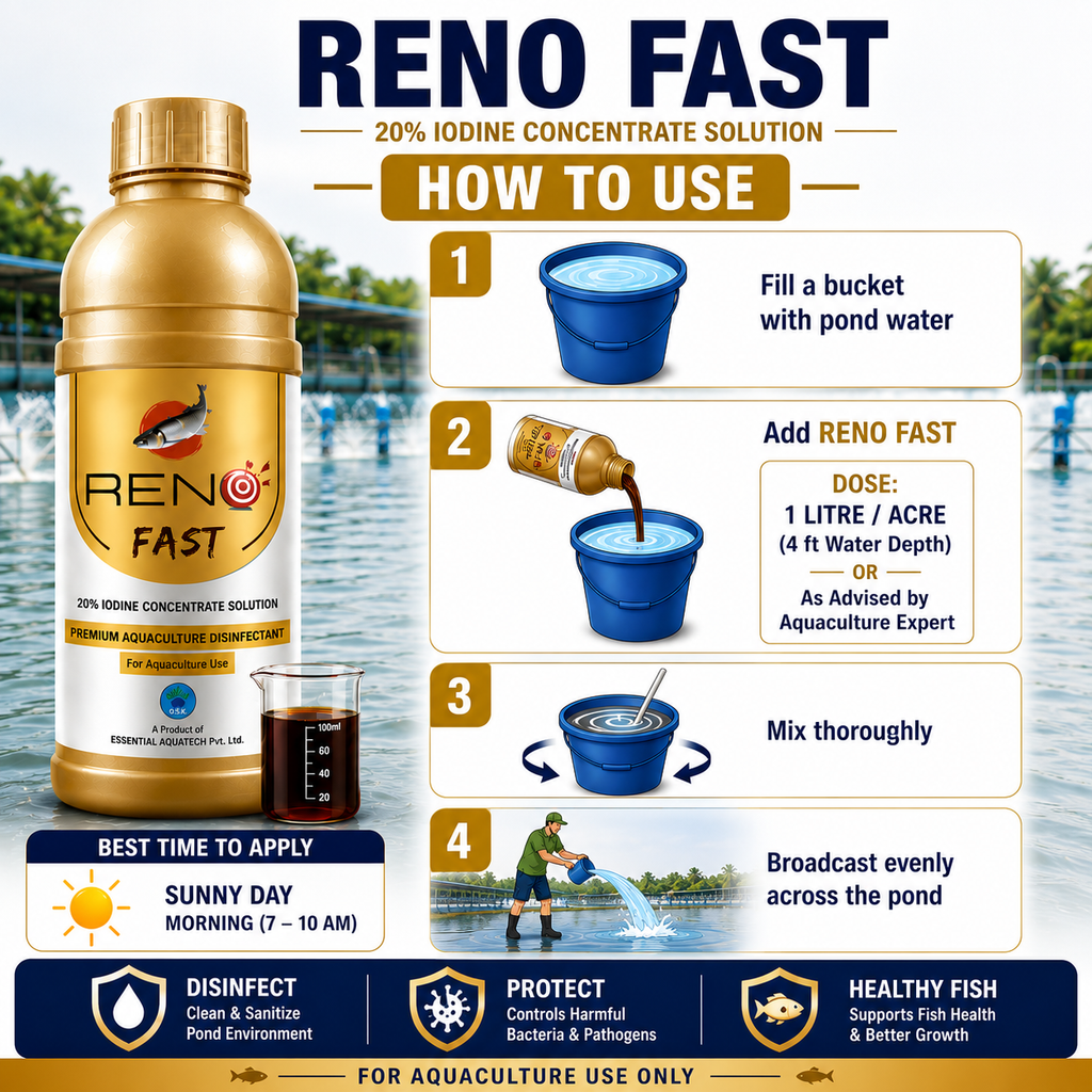 RENO FAST