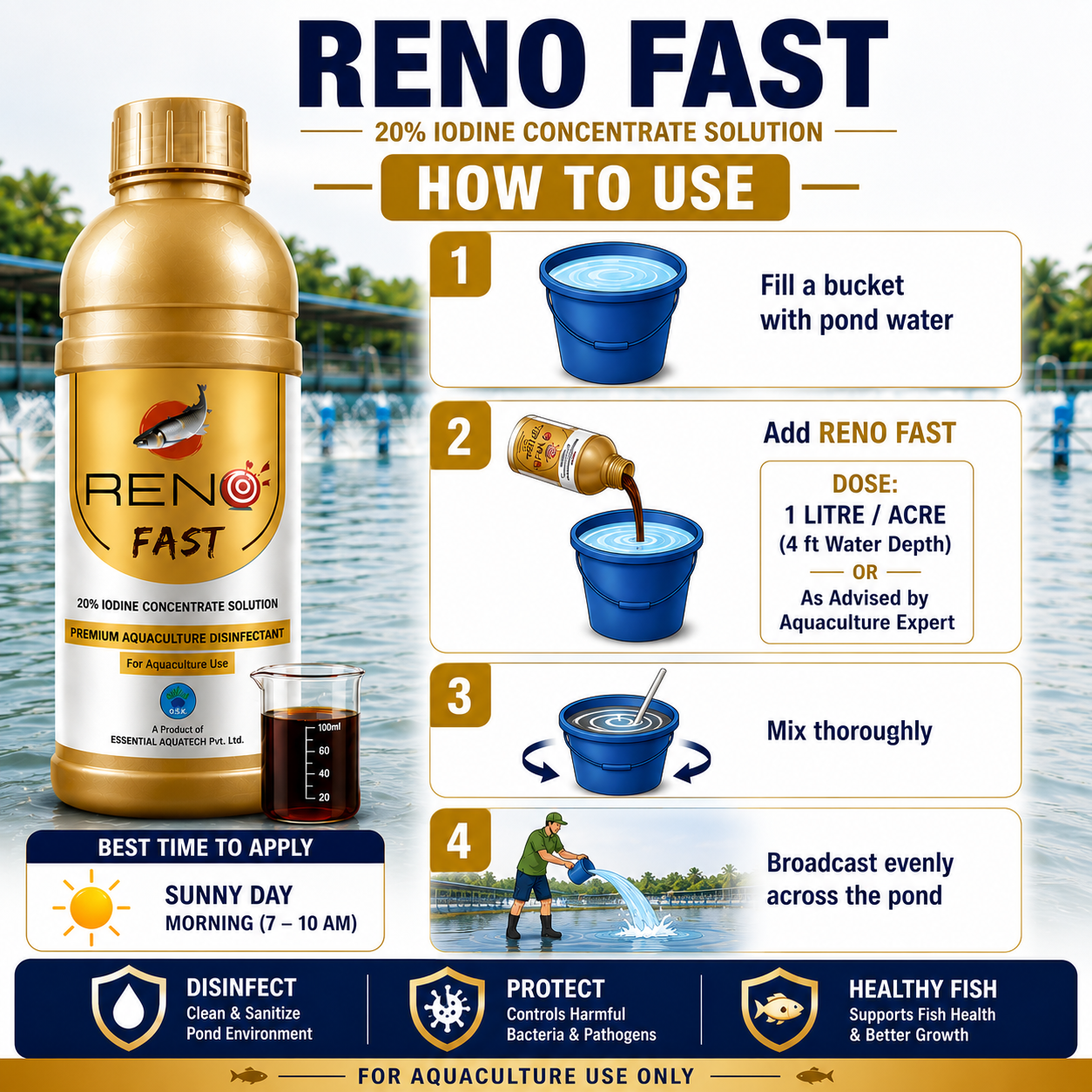 RENO FAST