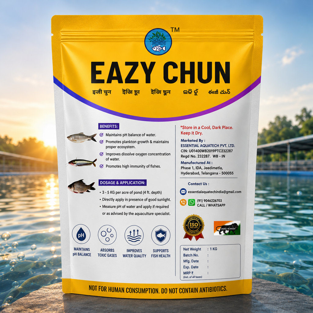 EAZY CHUN