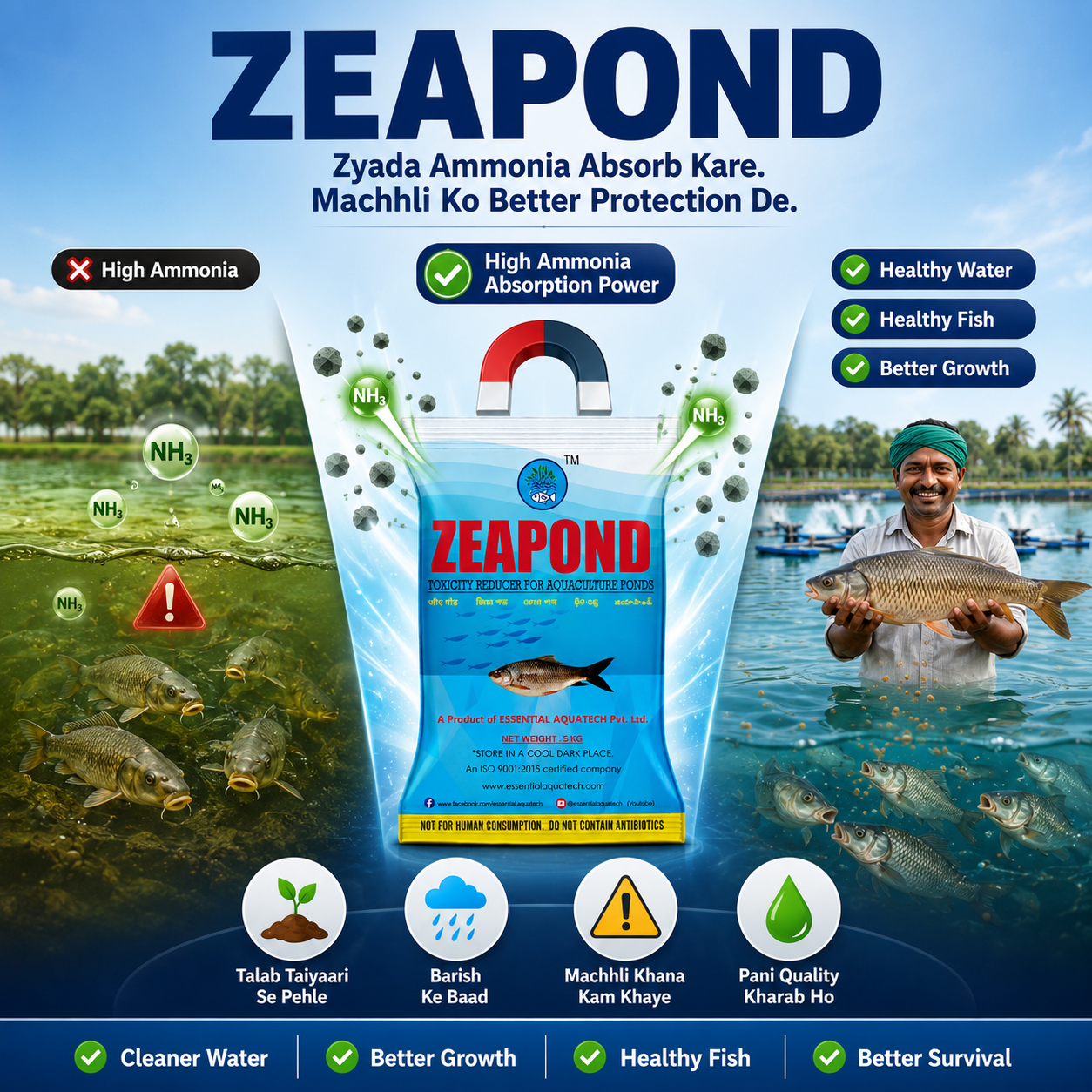 ZEA POND