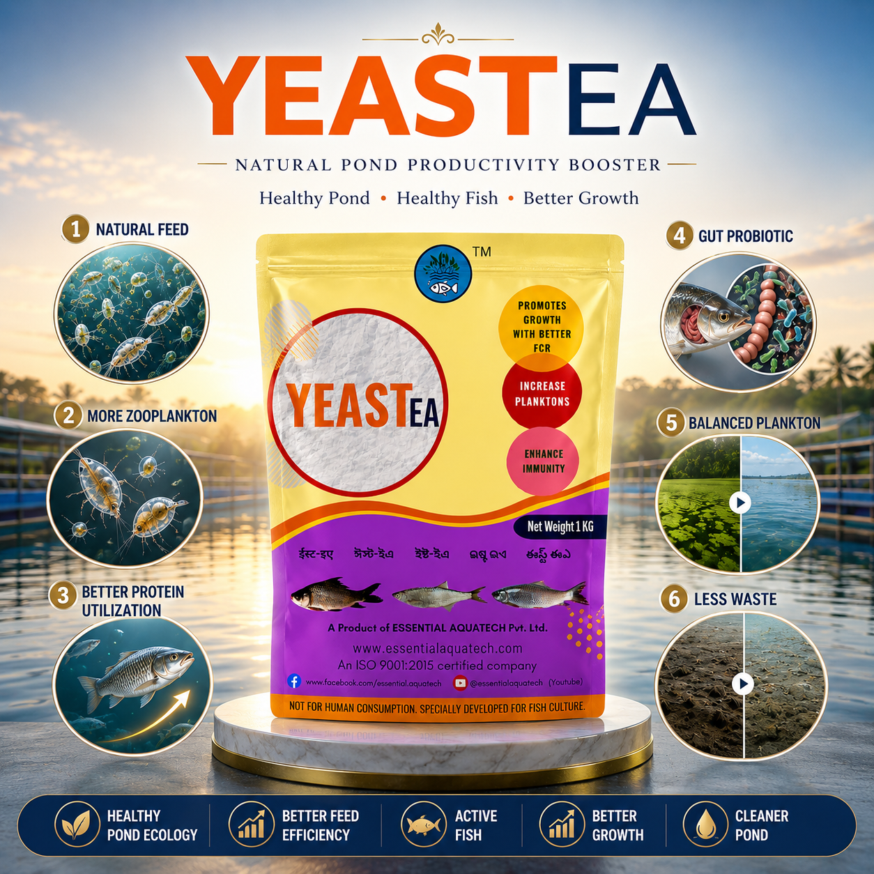 YEAST EA