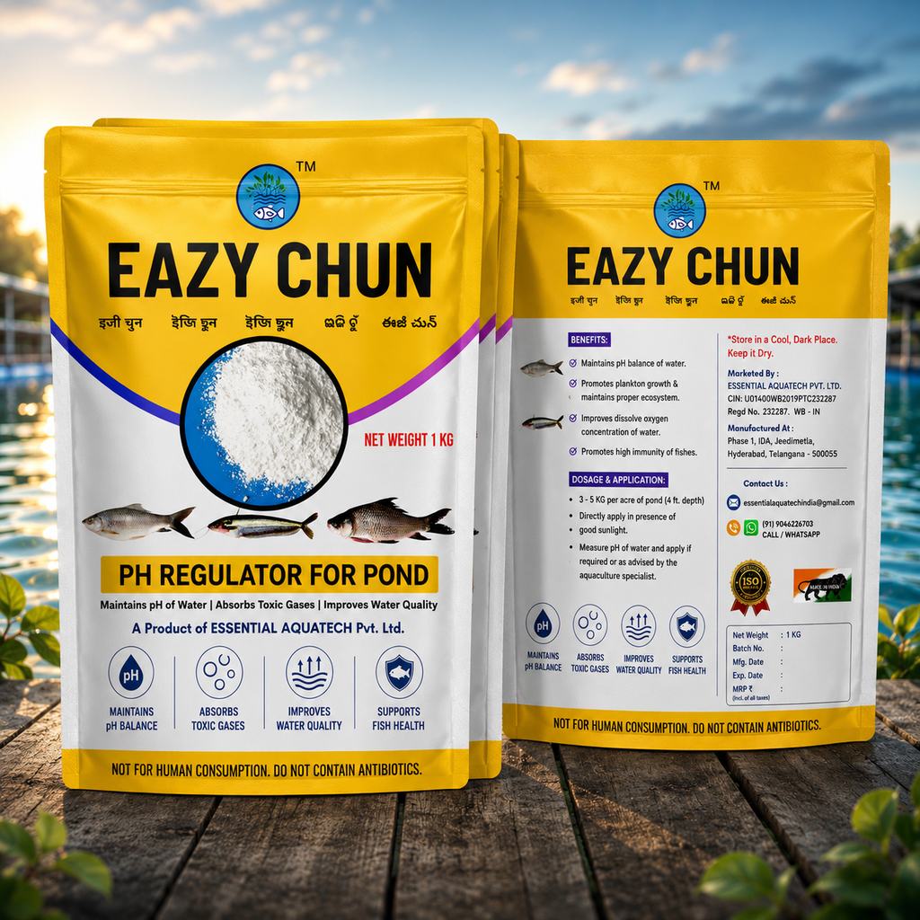 EAZY CHUN