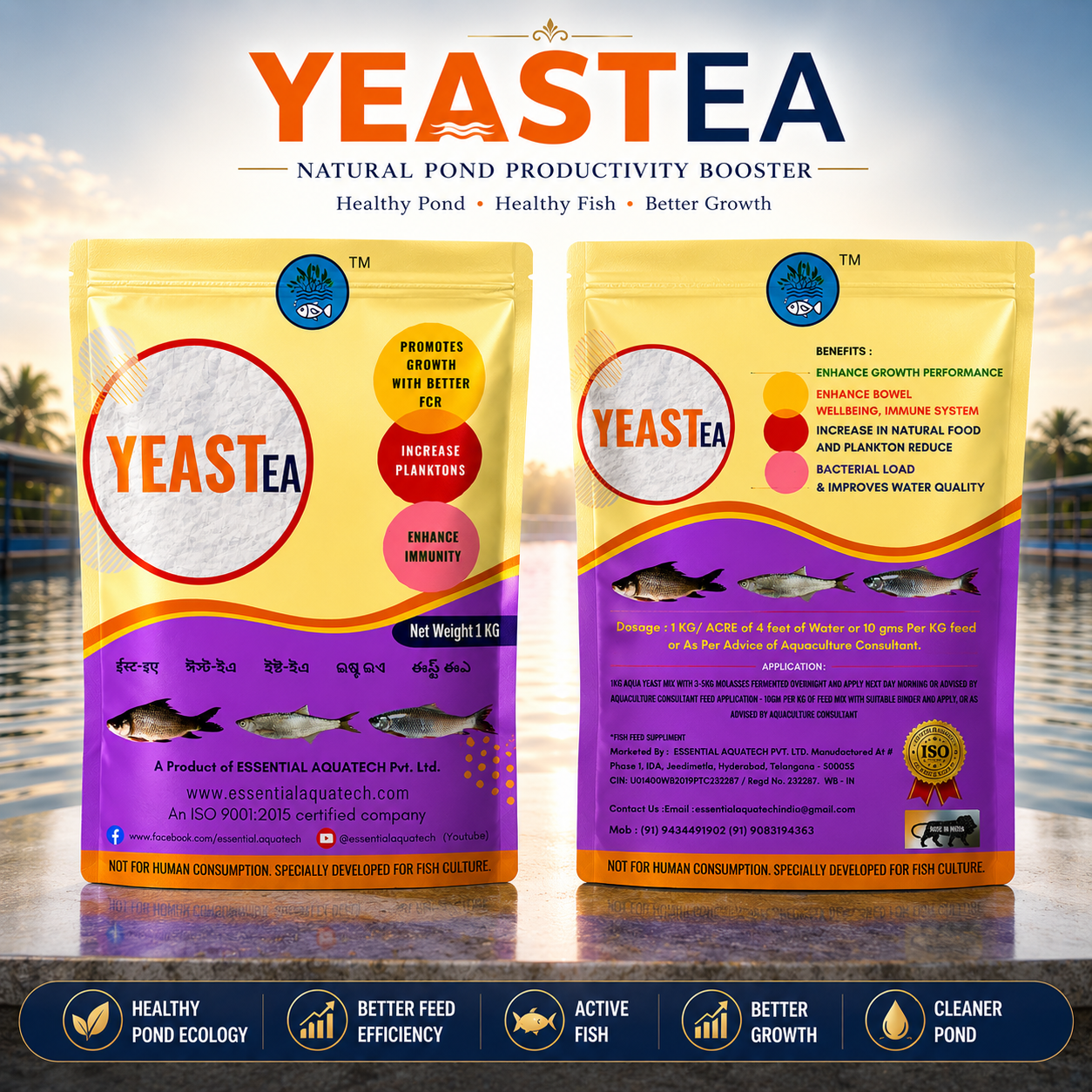 YEAST EA
