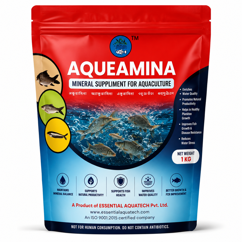 AQUEAMINA