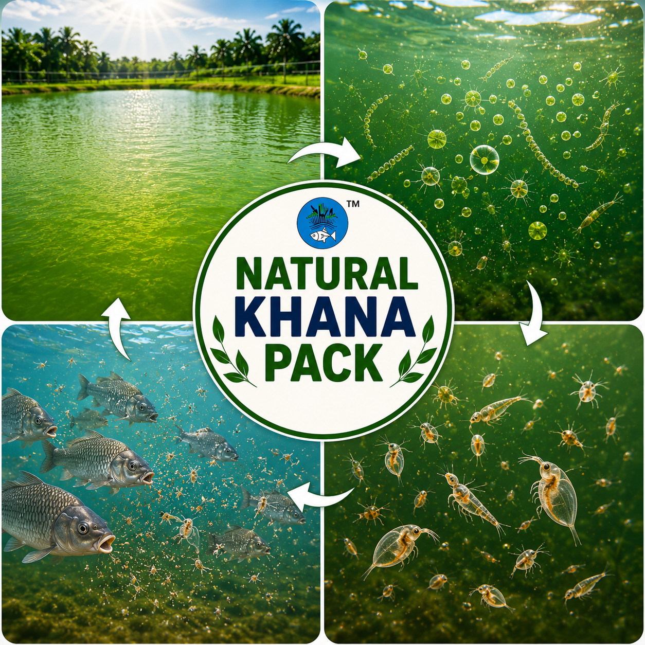 Natural Khana Kit