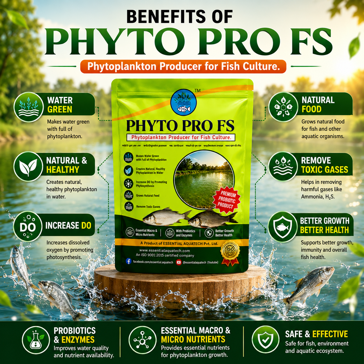 PHYTO PRO FS