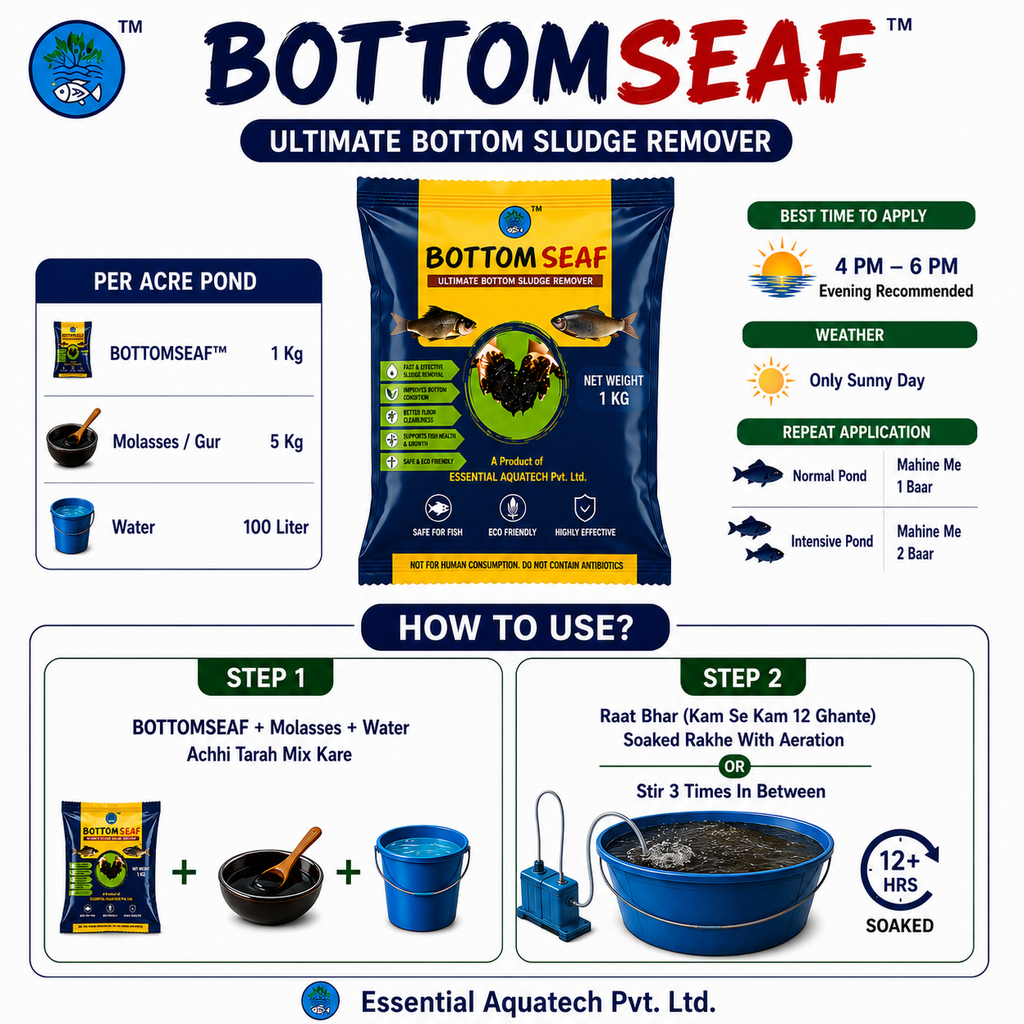 BOTTOM SEAF