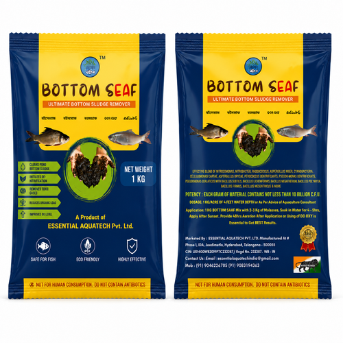 BOTTOM SEAF