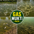 GAS MUKTI PACK