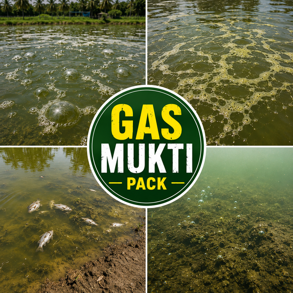GAS MUKTI PACK
