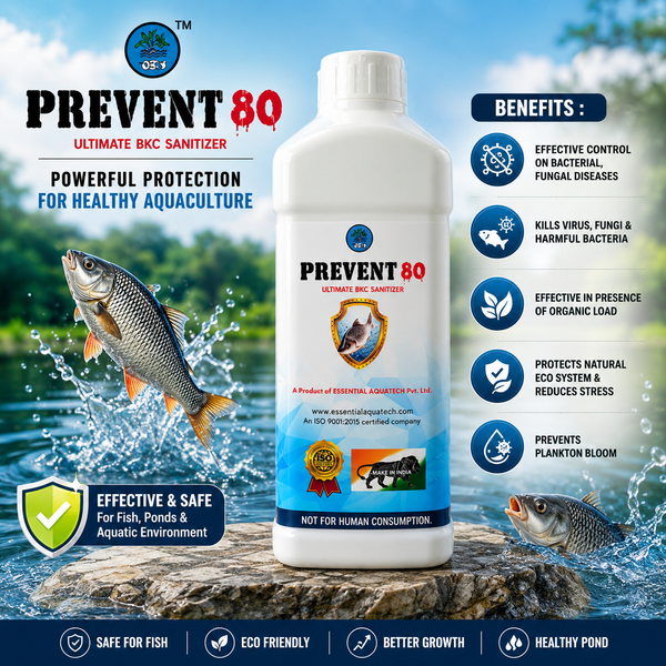 PREVENT 80