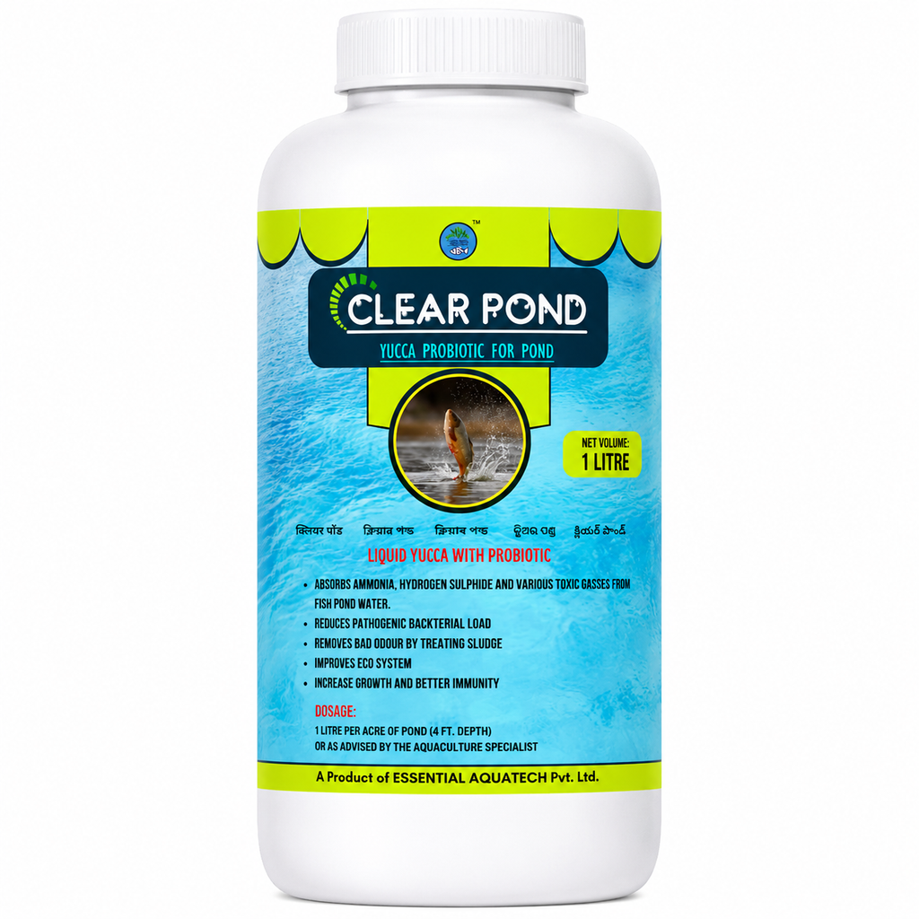 CLEAR POND