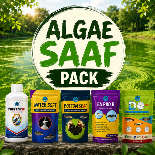 Algae Saaf Pack
