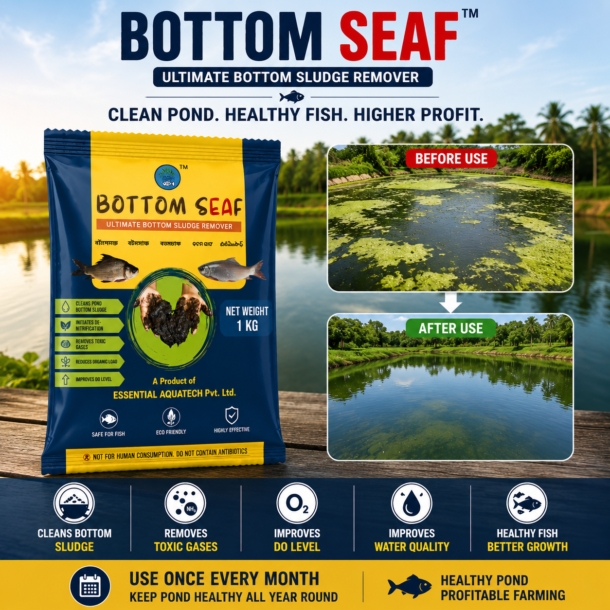 BOTTOM SEAF