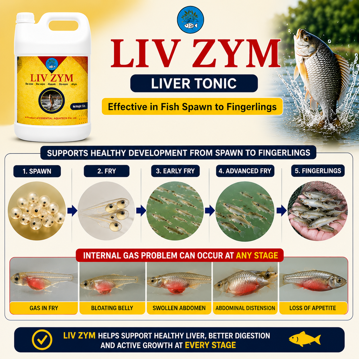 LIVZYM