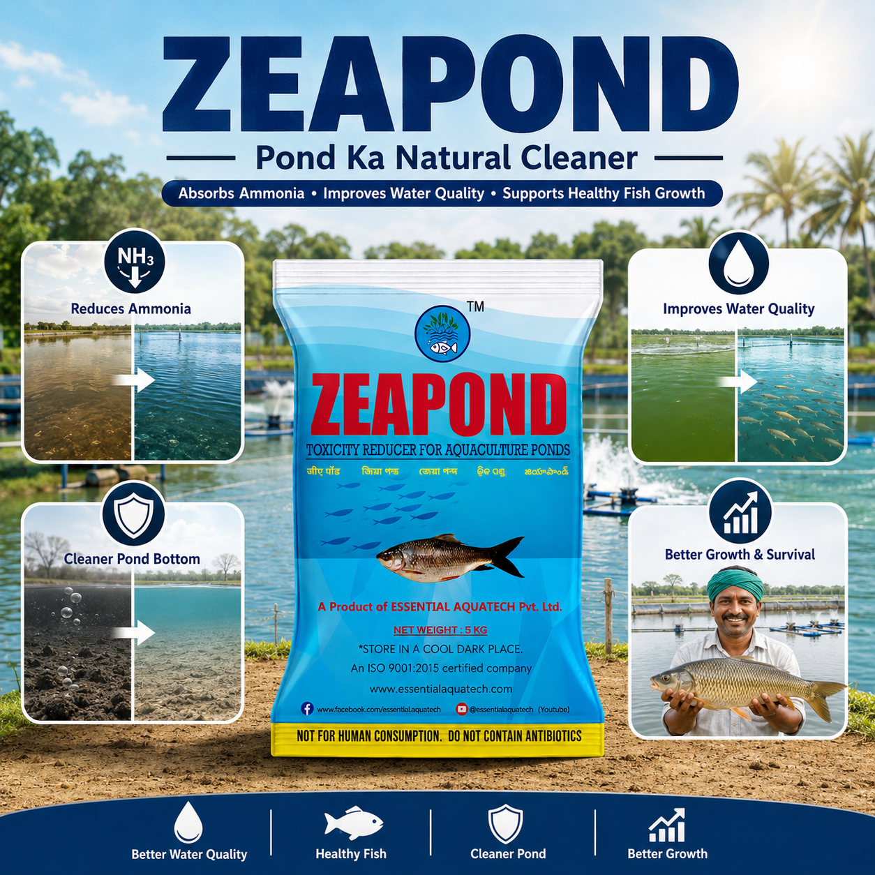 ZEA POND