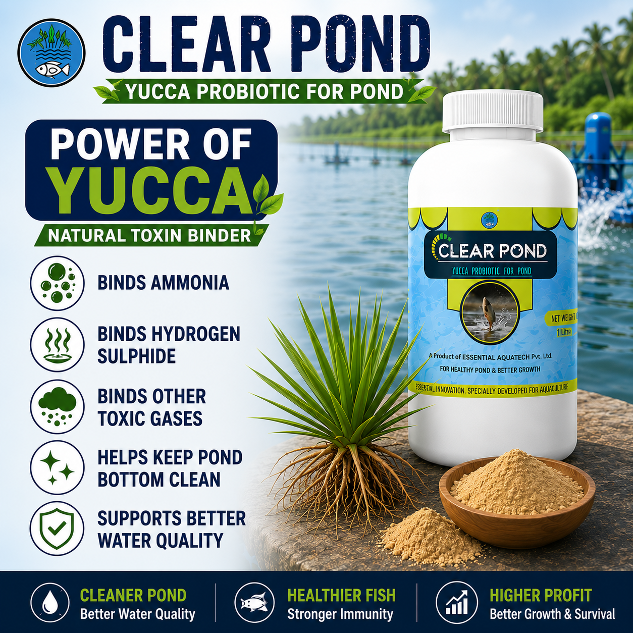CLEAR POND