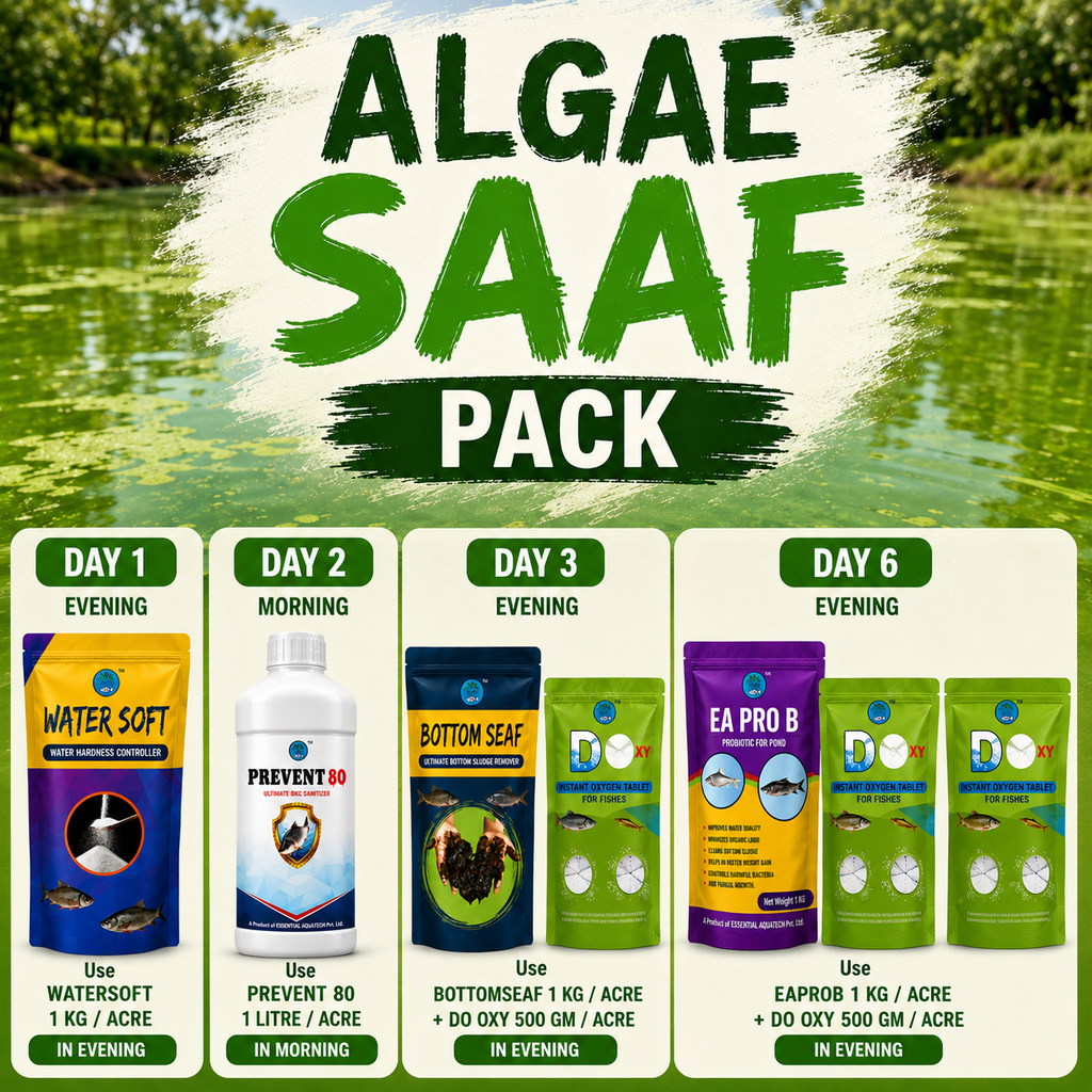 Algae Saaf Pack