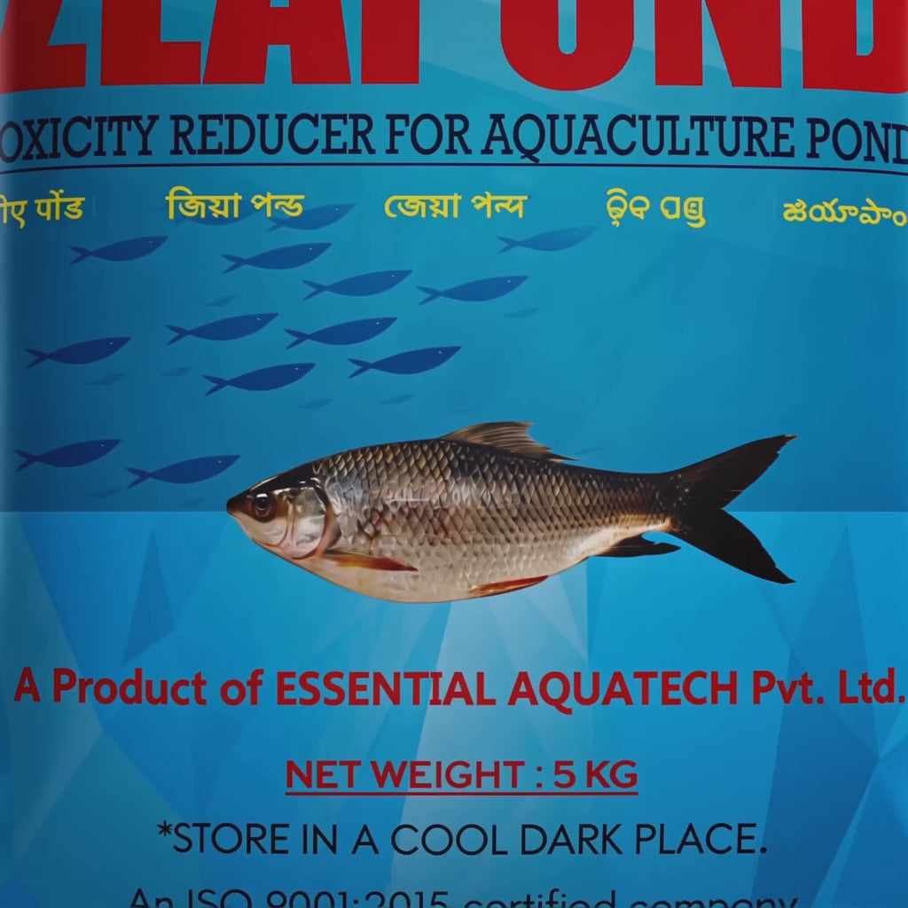 Zeolite Powder for Fish Pond – Ammonia & Toxic Gas Remover, pH Balancer | Fishhaat ZEA POND