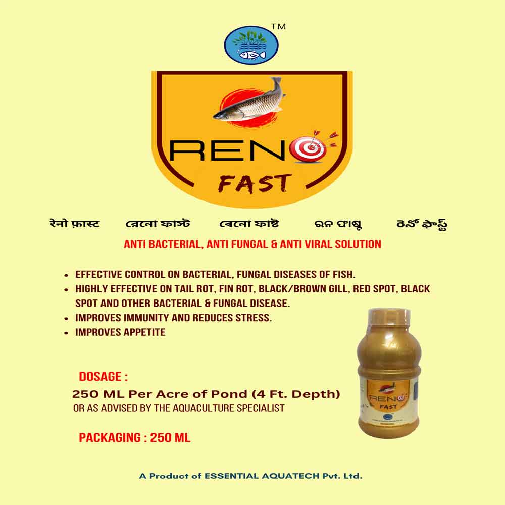 RENO FAST